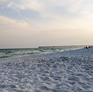 Meet your Posher, Maddie